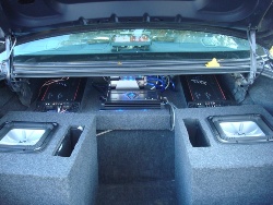 Trunk view